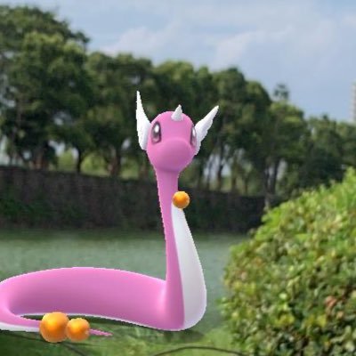 【Pokémon🔴⚪アカウント】 PokémonGO: Team Mystic❄ TL50/ 原作: Pt AS US Sw Sh BD V/ デザインが気に入ってるポケモン: ハクリュー🐉, エーフィ☀