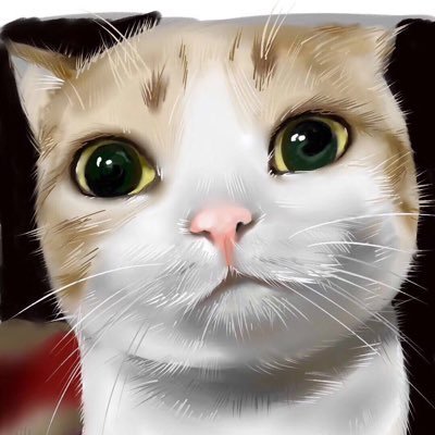 qoUFQQgeKMRFbb6's profile picture. 