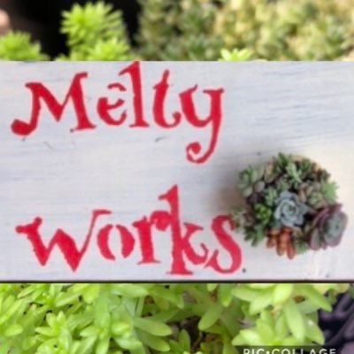 MeltyWorks@多肉植物専門店さんのプロフィール画像
