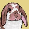 Owner of Scamp (a mischievous house rabbit), a blog/rabbit care site with tips of housing, behaviour & enrichment. Author of Understanding Your Rabbit's Habits.