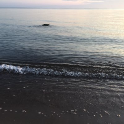 andzas2's profile picture. 