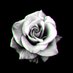 ๐ต๐๐๐๐ (@judasismyvirtu) Twitter profile photo ๐ต๐๐๐๐ (@judasismyvirtu) Twitter profile photo