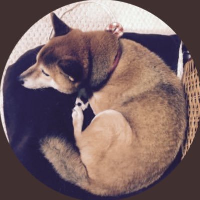 成人済 犬好き 通販→https://t.co/Zvex0SAR5l スケブ→https://t.co/SC2LW6mUJL リンク→https://t.co/tx1Bx6Ilg5