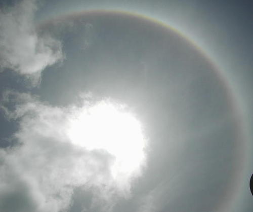 turinofAntioch's profile picture. Some dude.