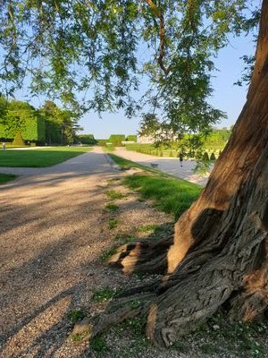 ADH2110's profile picture. Parisienne de cœur 🗼
Passionnément française 🇨🇵
Interpellée par la politique 🤯
Intriguée par mes congénères #Education #politique #astronomie #teampatriotes