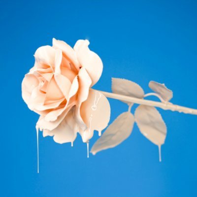 🌷 조사의 표지 디자인(레디메이드/커미션) | 분양 가능 표지는 포스타입 및 마음함에 | 문의는 Dm 부탁드립니다:D 🌷
※Dm 오류가 잦습니다! 문의하신다면 멘션도 한 번 부탁드립니다※
🌷 표지 리퀘박스: https://t.co/bdojoGV3a6