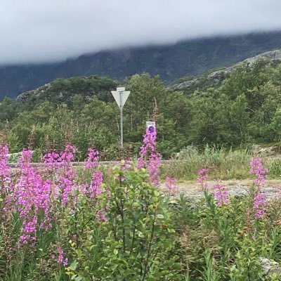 barbara4835's profile picture. senior advisor, tax