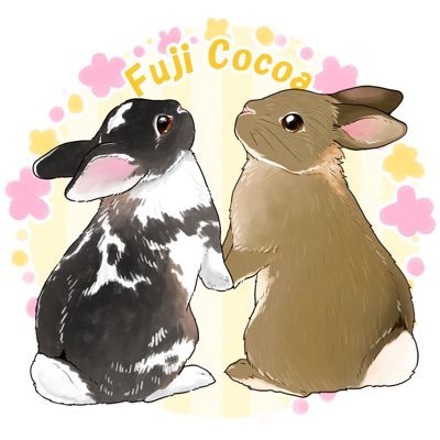かすてらうさぎ🐰さんのプロフィール画像