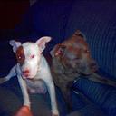 lilly mclean - @hottamel456 - Twitter