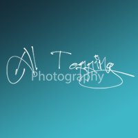 Al Topping Photography (@altoppingphoto1) 's Twitter Profile