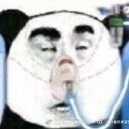 4wfm3zrEVeCCXC8's profile picture. 動漫 漫畫家 體育 新聞 娛樂