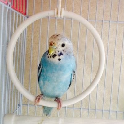 たかこさんのプロフィール画像