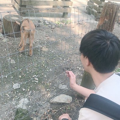 kaisei_thatsall's profile picture. 