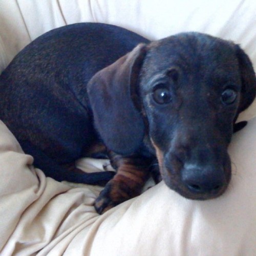 Juliahermine's profile picture. 