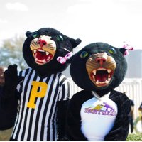 Student Engagement (@pvamu_ose) 's Twitter Profile