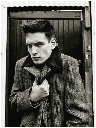 comisssario's profile picture. Falar sem omitir