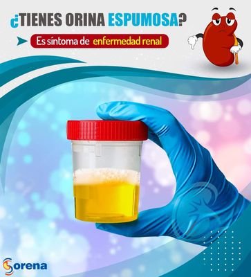 Prevencion y tratamiento individualizado de la enfermedad del riñón y vias urinarias. Profesionales altamente cualificados y experiencia internacional