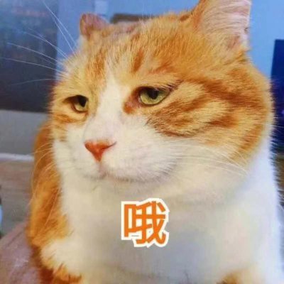 emperor_1127's profile picture. 