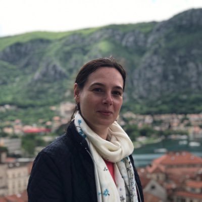 carmenvoicu25's profile picture. teacher, researcher