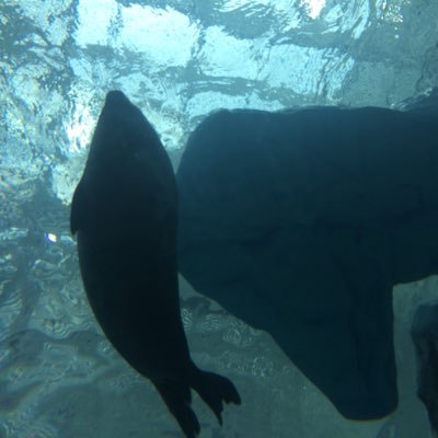 0122kz's profile picture. PEACE18th ギター