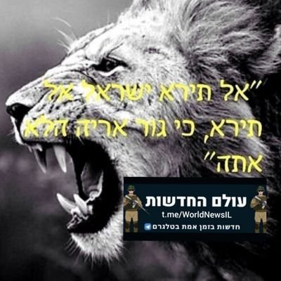 בזמני הפנוי - חובב ומצייץ דיווחים בזמן אמת מכל המקורות ועוד קצת.. והראשון בישראל שזיהה את ה-ציוץ שכמעט גרם לתקרית דיפלומטית - ציוץ נעוץ