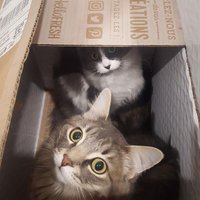 astraPOLSKA (@astrasupernowa) 's Twitter Profile