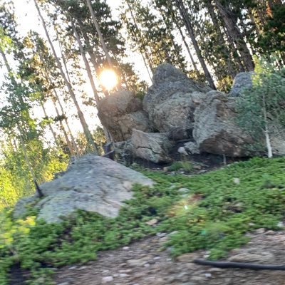 phaggot_phat's profile picture. Just a PhatPhaggot. Chub. 25.