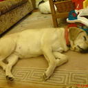 Thomas  willmott - @skatborder2 - Twitter