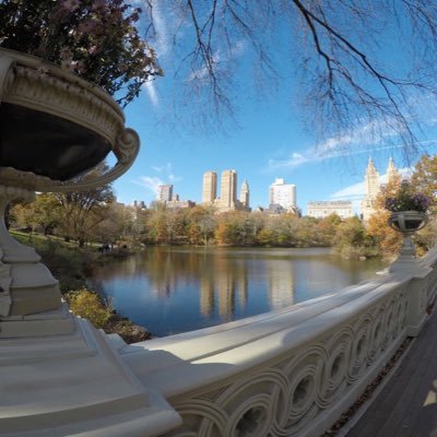 ejuridicolp's profile picture. 