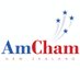 AmchamNZ (@AmchamNZ) Twitter profile photo