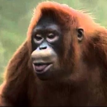 zeushed's profile picture. live long and prosper