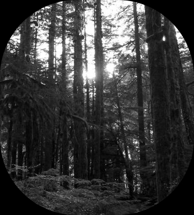 thefourpartland's profile picture. Author of a series of fantasy novels. Read more at http://t.co/M2ouRLFG