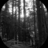 thefourpartland's profile image