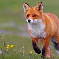 Lis (@lis36749089) 's Twitter Profile