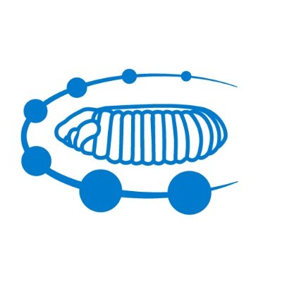 KondoTakefumi's profile picture. Developmental biologist at RIKEN BDR.