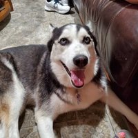 mel (@frogem11) 's Twitter Profile