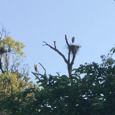 kidsprogram1's profile picture. ITに関わる方の労災保険特別加入団体の情報取集