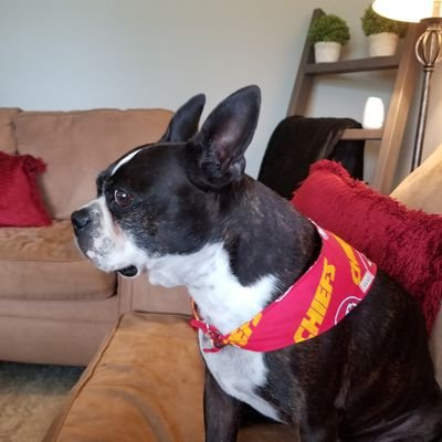 TylerHazelrigg's profile picture. Free soul