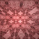 Thank you for stopping by. I am a visual artist and photographer. Love quote and poetry.