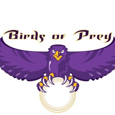 The official Twitter of the University of Northwestern – St. Paul’s ultimate frisbee team. Newly rebranded to BOP Ultimate 🦅🥏