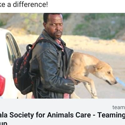 Sulala Association works to protect and Relief of the animals, it’s the only licensed association in Gaza that works to rescue & protect stray animals