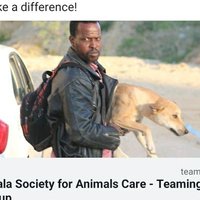 Sulala Animal Rescue (@sulalasociety) Twitter profile photo