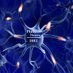 PhillyNeuro (@phillyneuro) Twitter profile photo PhillyNeuro (@phillyneuro) Twitter profile photo