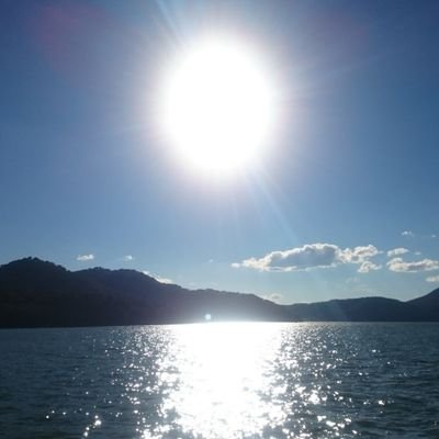 chasanmi's profile picture. 