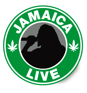 Jamaica Live ONE LOVE REGGAE Thursday Nights https://t.co/aAmL09V0Wl
More Info 424 228-0569 or https://t.co/DrJiZJanu3