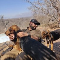 Aditya Joshi (@adityajwildlife) 's Twitter Profile