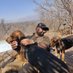 Aditya Joshi (@adityajwildlife) Twitter profile photo Aditya Joshi (@adityajwildlife) Twitter profile photo