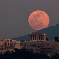 خالد عبدالرحمن 🌾 (@khalid_sh70) Twitter profile photo