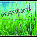 McCracken Grassroots (@grassrootsgroup) Twitter profile photo McCracken Grassroots (@grassrootsgroup) Twitter profile photo
