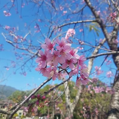 nantana6954's profile picture. 😀😀😀